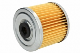 Replacement Chamberlain Tractor filter CHAM14261,1012006M1,1012006M2,844644R91,FF145,P551168